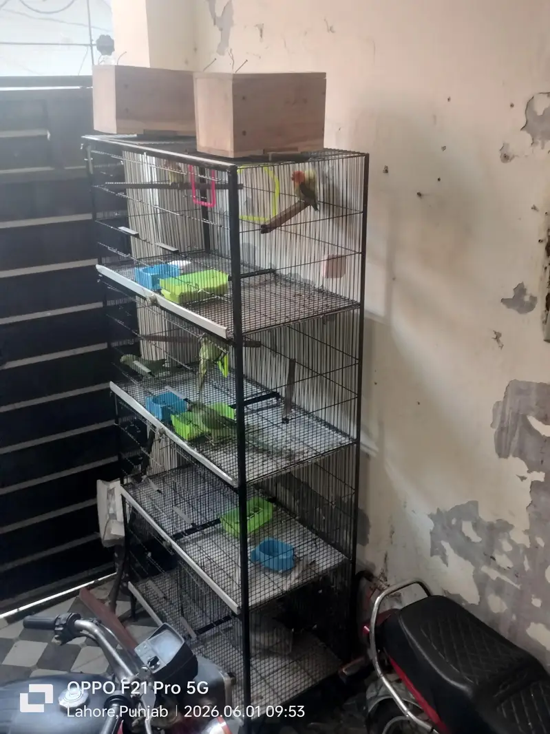 birds cage for sale — photo 2