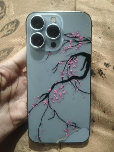 Apple iPhone 13 Pro