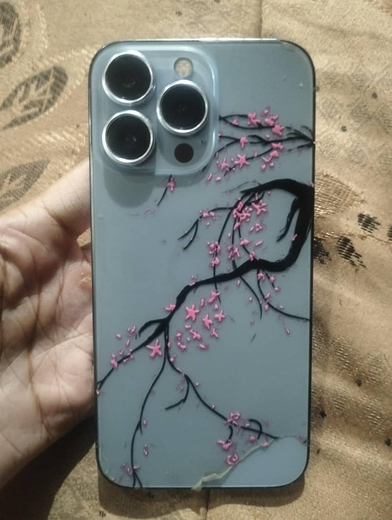 Apple iPhone 13 Pro 0