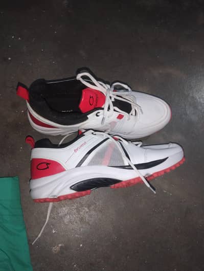 Oulander Cricket Shoes — Brand New, Size 45 (Box Nahi Hai)
