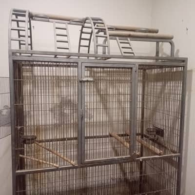 Cage for Macaw or Grey parrot