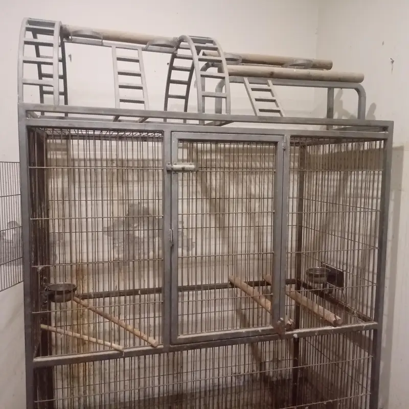 Cage for Macaw or Grey parrot