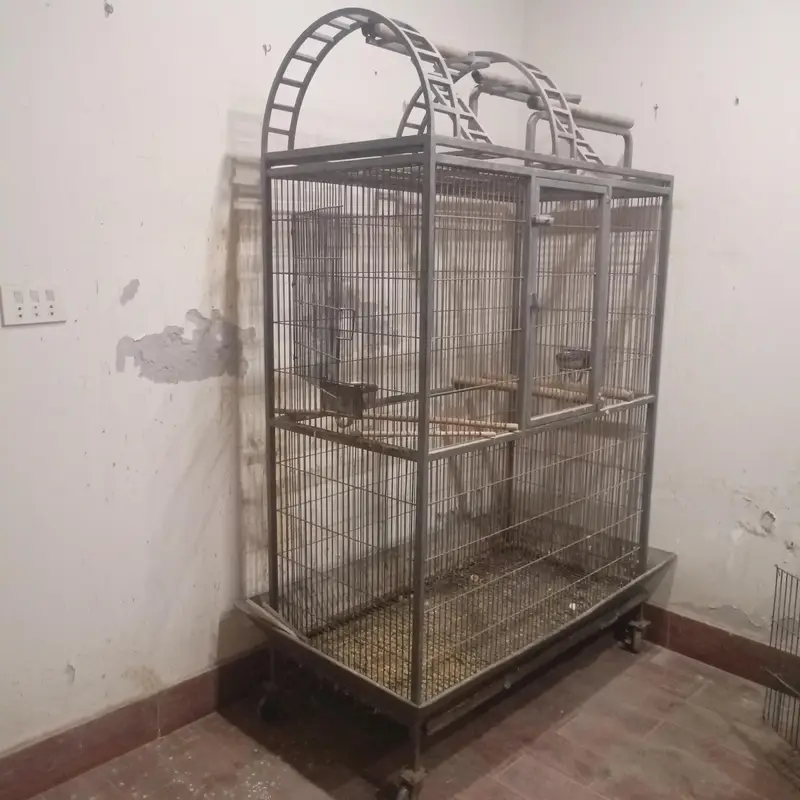 Cage for Macaw or Grey parrot — photo 2