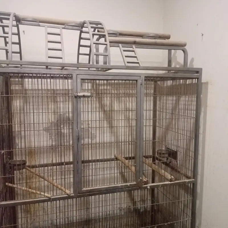 Cage for Macaw or Grey parrot — photo 3