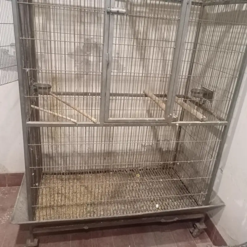 Cage for Macaw or Grey parrot — photo 4