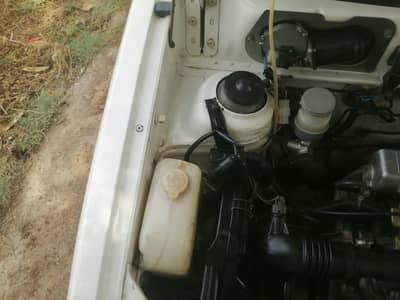 mehran