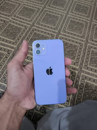 Apple iPhone 12