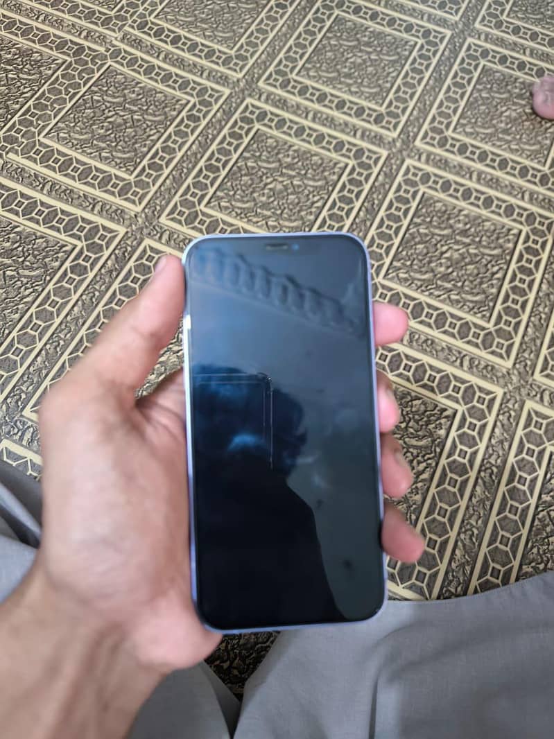 Apple iPhone 12 1