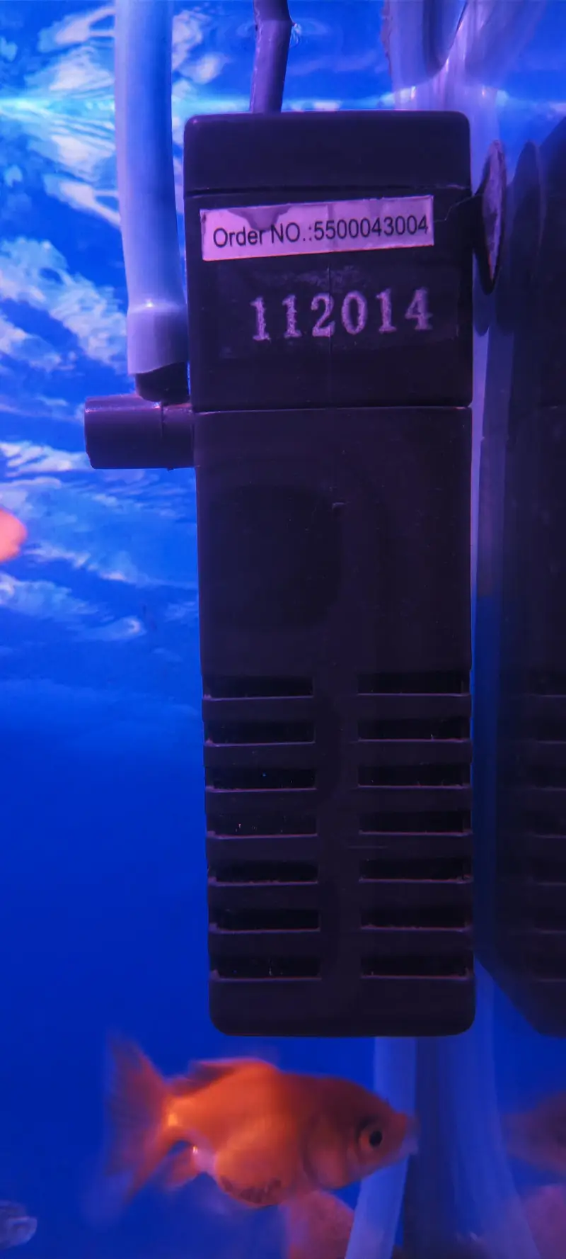 Mini Fish Aquarium — photo 3