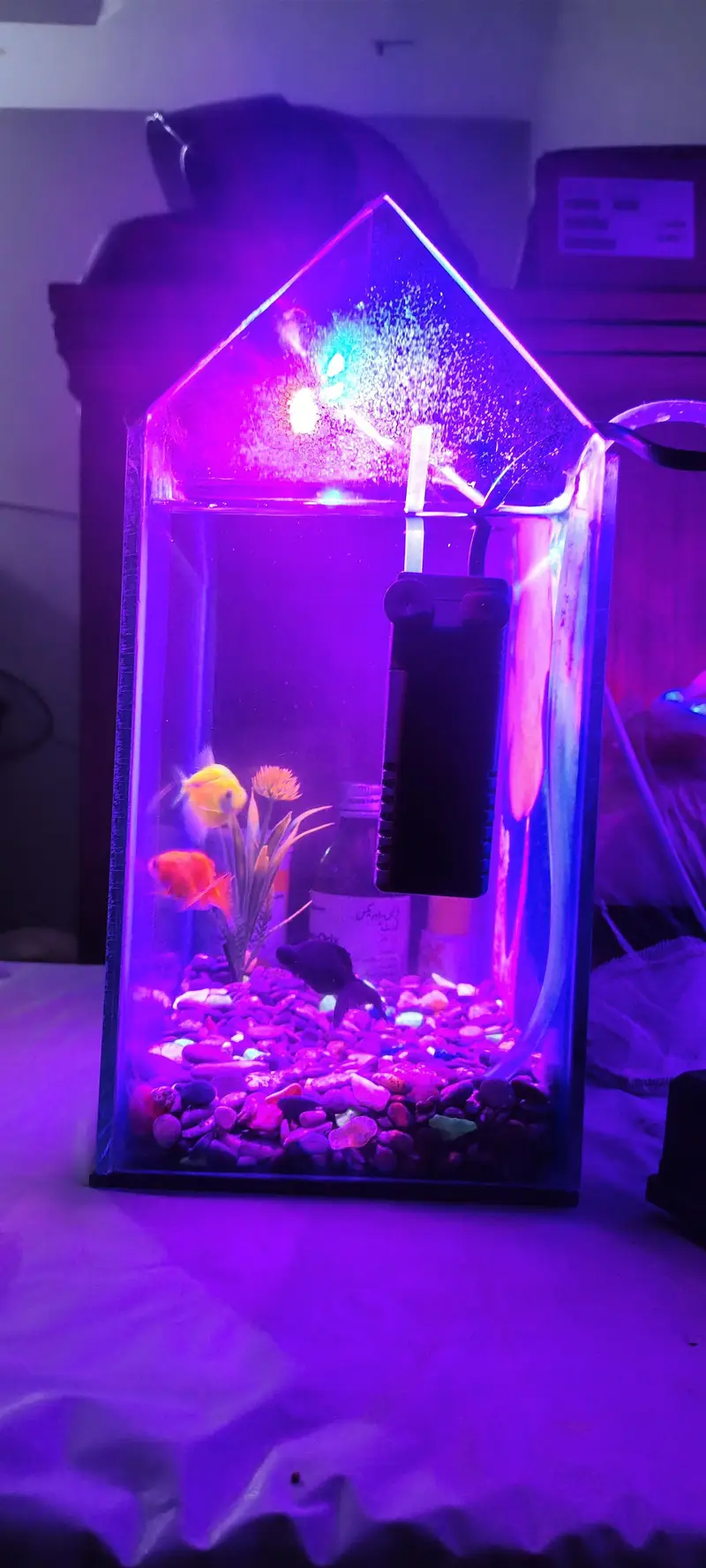 Mini Fish Aquarium — photo 5