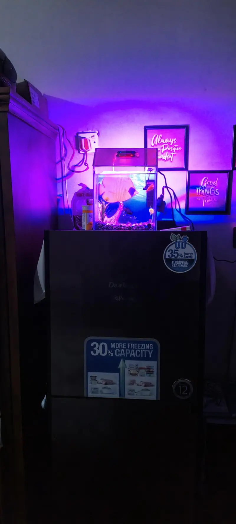 Mini Fish Aquarium — photo 7