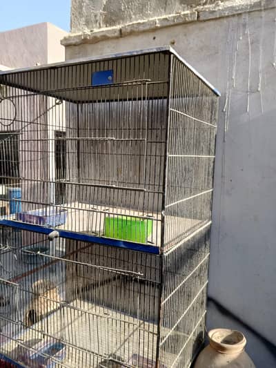 Iran cage