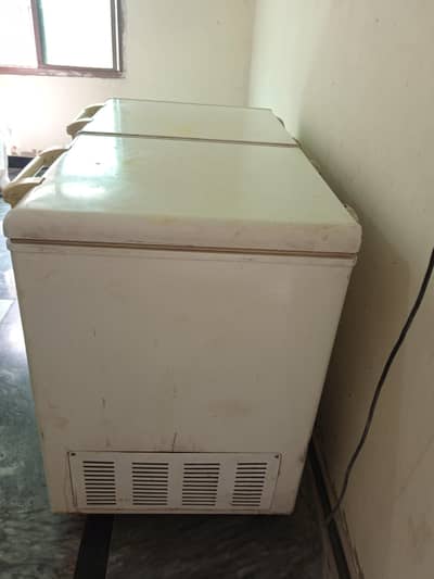 freezer complete name haier
