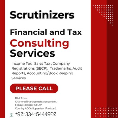Professsional Income Tax Return Filing Services