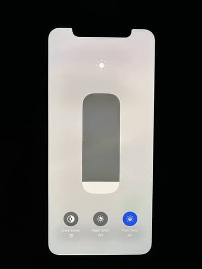 Apple iPhone X