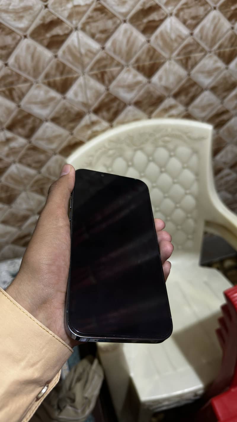 Apple iPhone 13 Pro Max 2