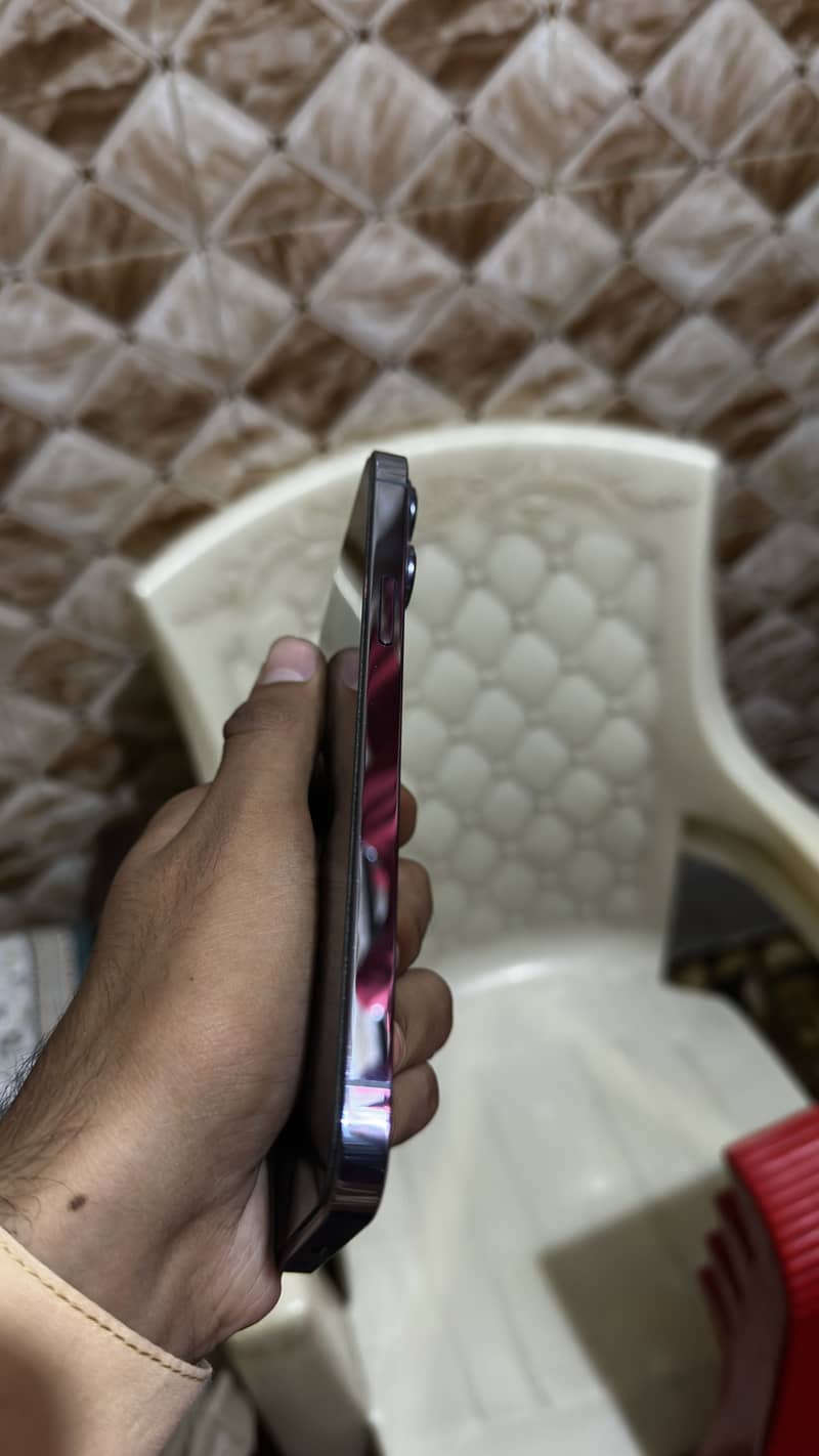 Apple iPhone 13 Pro Max 3