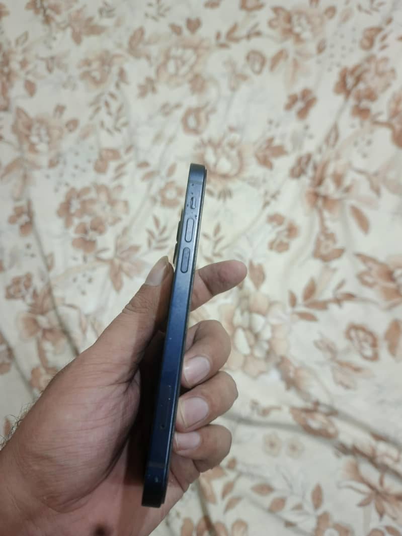 Apple iPhone 12 1