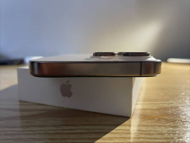 Apple iPhone 16 Pro Max 2