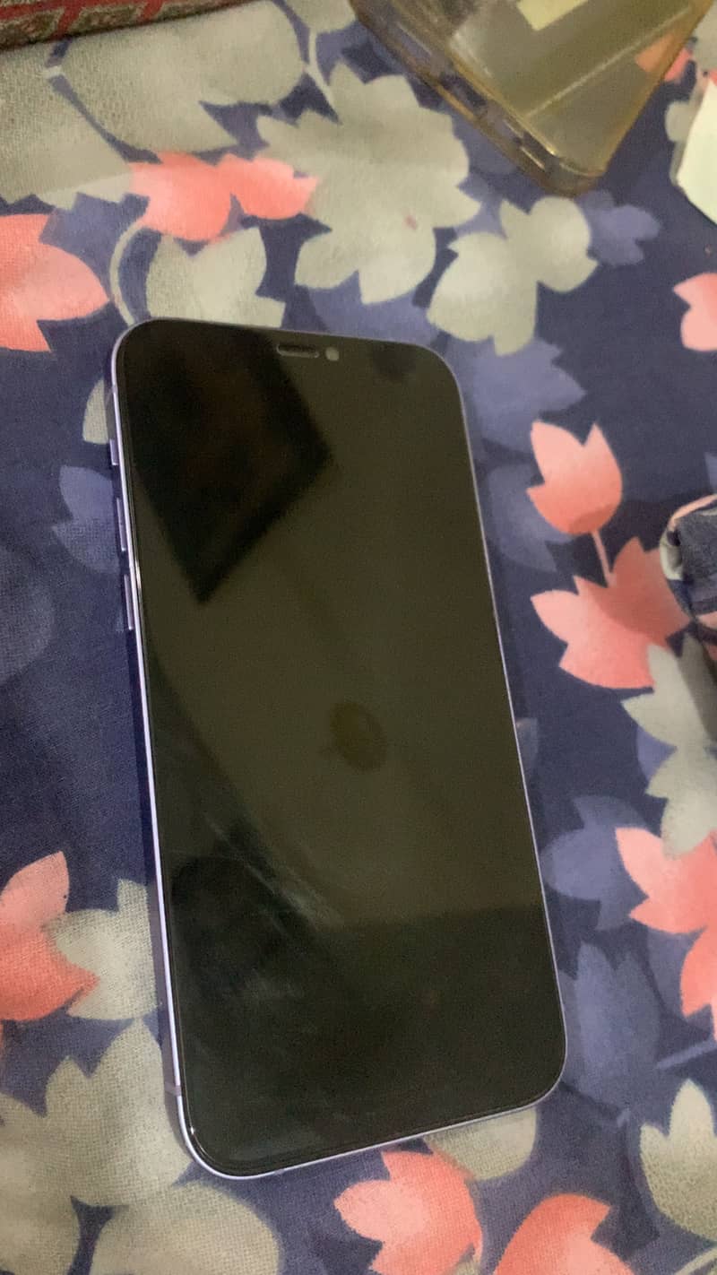iPhone 12 mini 1