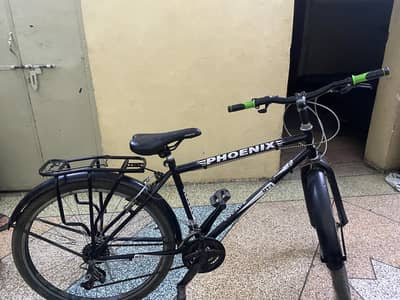 Phoenix cycle