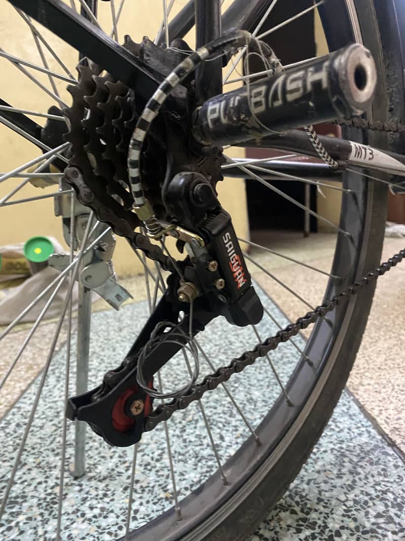Phoenix cycle 3