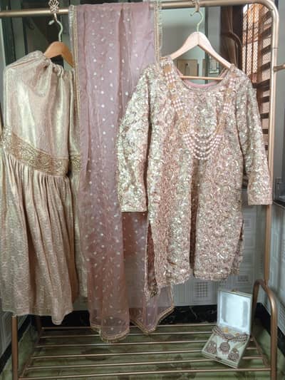 Blush Royale Luxury Embroidered Formal Ensemble