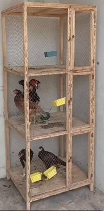 2 cages