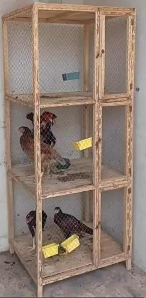 2 cages 0