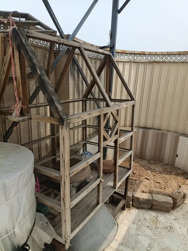 2 cages — photo 3