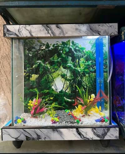 Fish aquarium Munseeb price 03268301979
