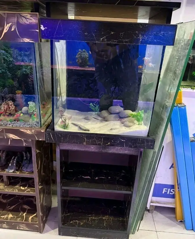Fish aquarium Munseeb price 03268301979 — photo 3