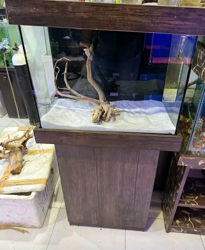 Fish aquarium Munseeb price 03268301979 — photo 5