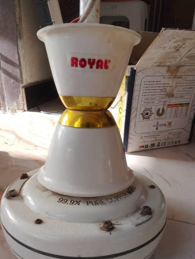 use  Fan Royal