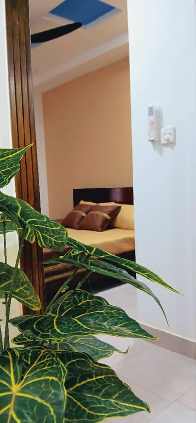 Furnished Apartment For  Rent