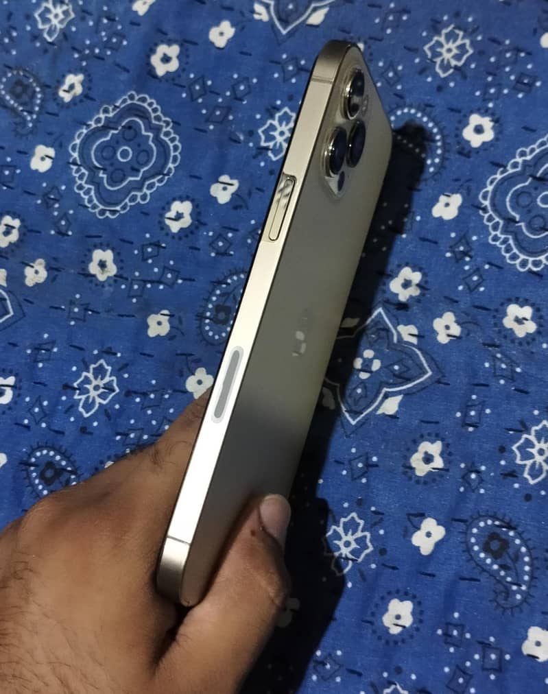 Apple iPhone 12 Pro Max 2
