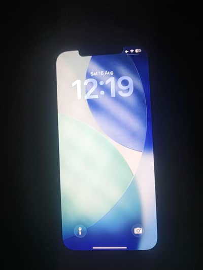 Apple iPhone 12 Pro Max