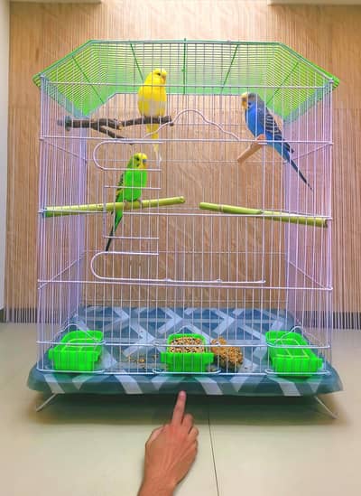 Urgent sell Big cage with Bird
