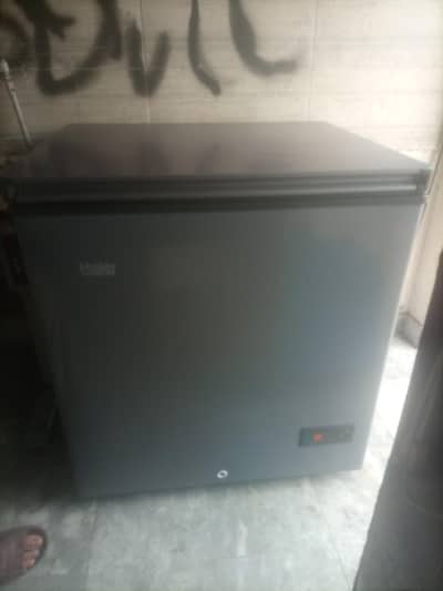 D freezer
