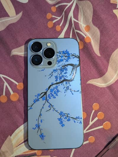 Apple iPhone 13 Pro water pack
