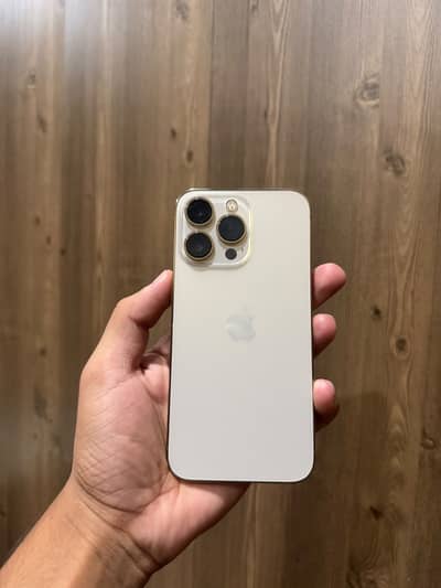 Apple iPhone 13 Pro