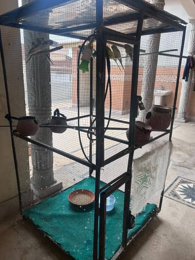 Birds Cage,s