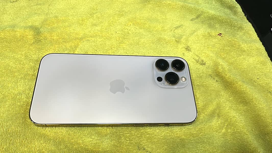 Apple iPhone 13 Pro Max 1