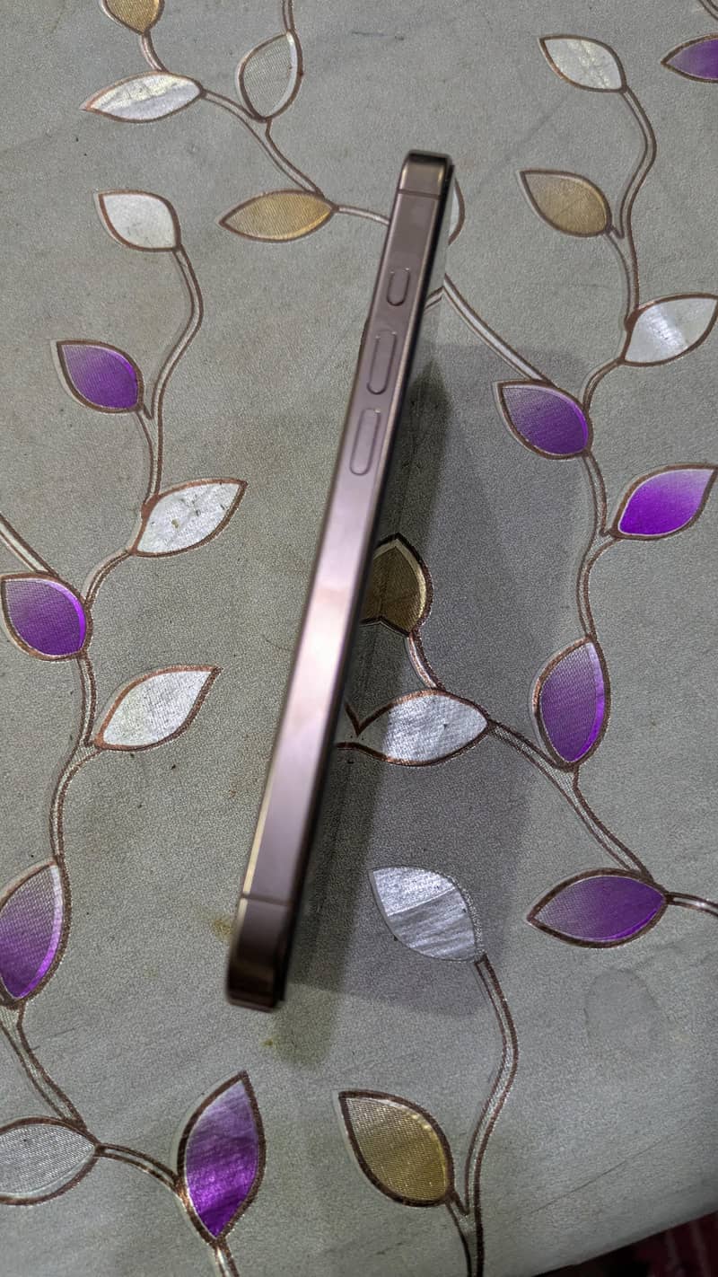 Apple iPhone 16 Pro 1