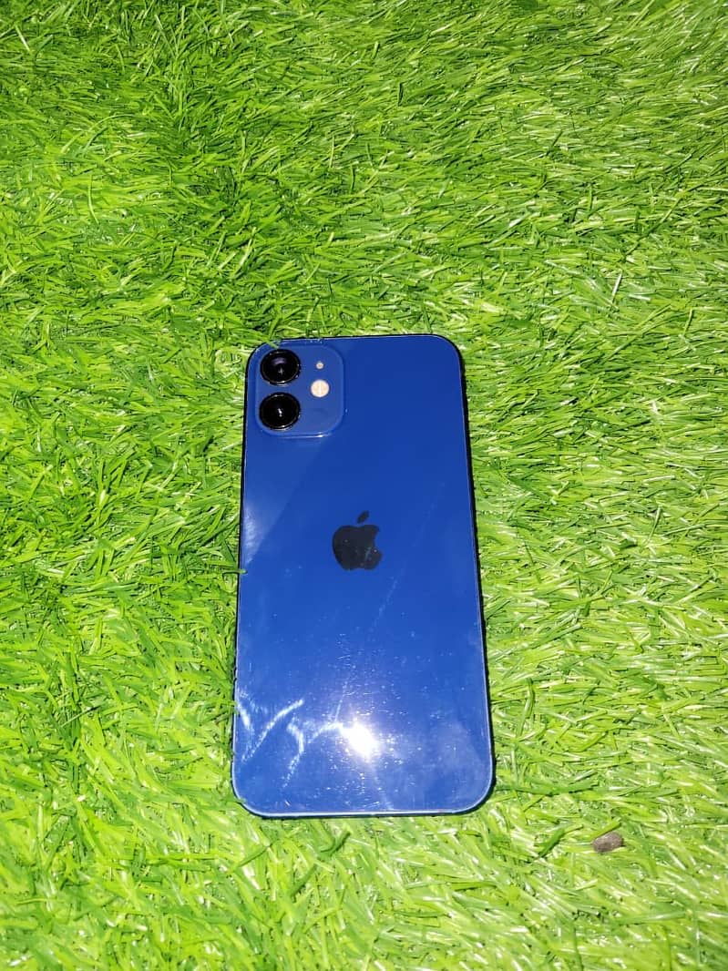 iPhone 12 mini 1