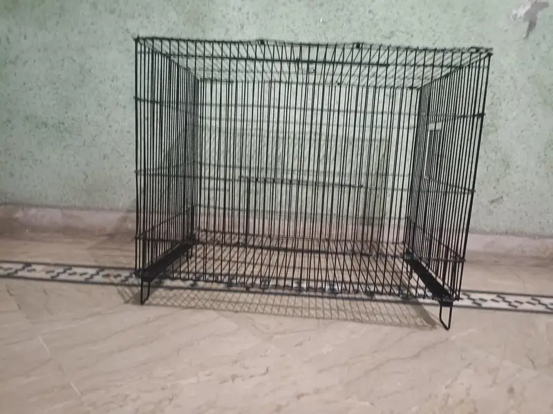 cage ( moti wire wala ) love birds cunures — photo 2