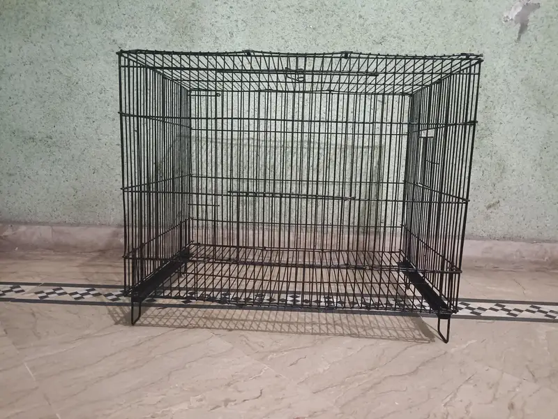 cage ( moti wire wala ) love birds cunures — photo 3