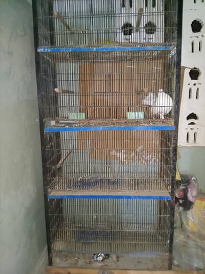 Cage for sell 5 portions