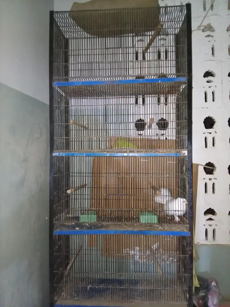 Cage for sell 5 portions — photo 2