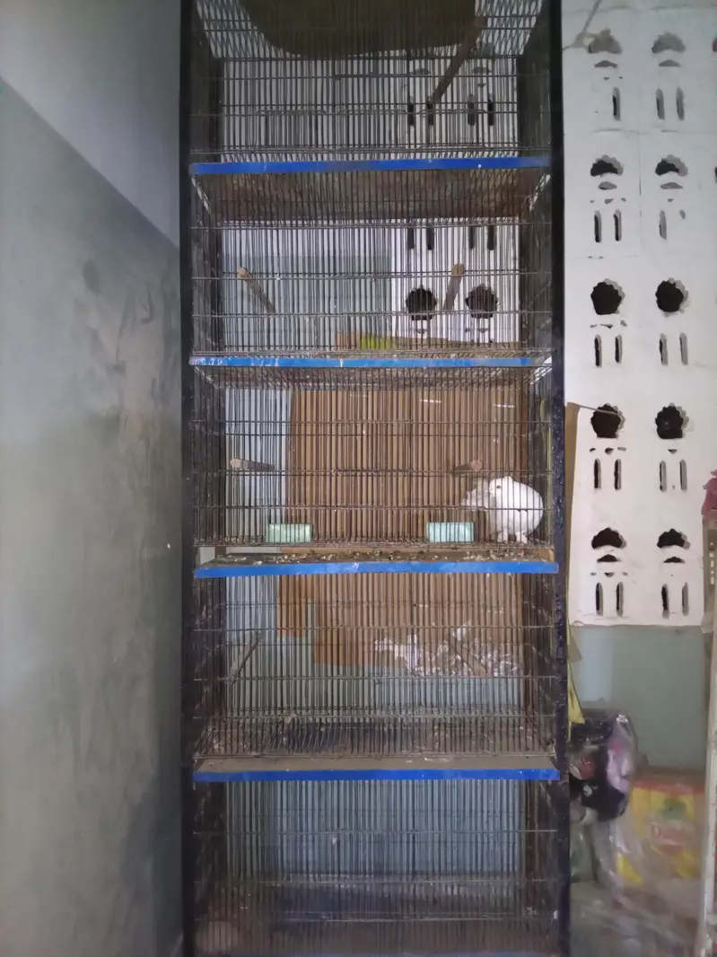 Cage for sell 5 portions — photo 3